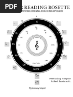 Guitar - Reading - Rosette - by - Antony Nispel