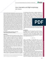 Bat Flight: Aerodynamics, Kinematics and Flight Morphology: Anders Hedenstro ̈ M and L. Christoffer Johansson