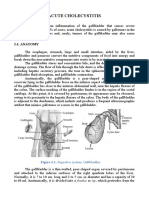 2 Acute Cholecystitis