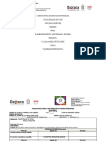 Planeacion de Español Multigrado Primer Ciclo