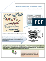 En Que Forma Puede Aparecer El ADN