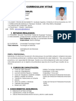 Curriculum Vitae (1a)