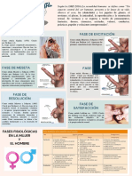 Motivacion Emocion PDF