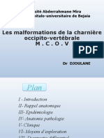 3-Malformation de La Charniere O-V