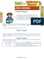 Tejido Animal para Quinto Grado de Primaria