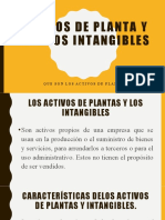 Activos de Planta y Activos Intangibles