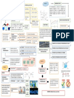 Organizador Grafico Termodinámica