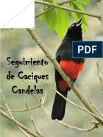 Informe 2 Seguimiento Caciques Candela