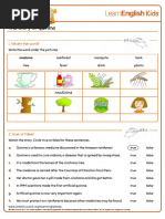 Short Stories The Story of Quinine Worksheet