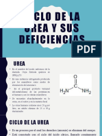 Ciclo de La Urea y Sus Deficiencias