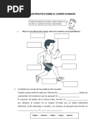 Taller Practico Sobre El Cuerpo Humano