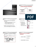 2.a. Fisiopatologia Del Sistema Nervioso Periferico