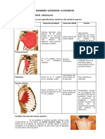 Libro de Anatomia - MMSS y Mmii