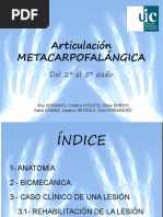 Articulación METACARPOFALÁNGICA