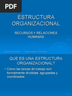 Estructura Organizacional