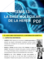 Tema 13 La Base Molecular de La Herencia