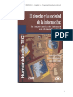 Internet y Derecho - Capítulo IV