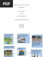 Infografia Contaminación y Clima