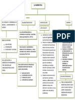 Mapa Conceptual Narrativa