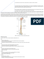 Biomecánica - 1.1. Biomecánica Ósea