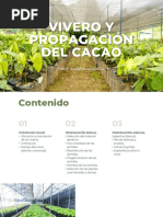 Vivero Del Cacao CLASE ELADYS PDF