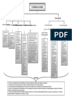 MAPA CONCEPTUAL Fertilidad