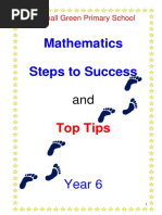 Mathematics Steps To Success: Top Tips