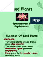 Seed Plants