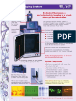 Dedicated Fluorescence and Colorimetric Imaging in A Stand-Alone Gel Documentation