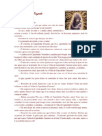 O Capuchinho Cinzento PDF