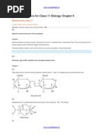 NCERT Solutions For Class 11 Biology Chapter 9