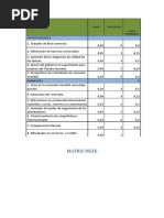 Matriz Efe