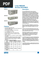 Loop-AM3440 Access DCS-MUX: Description