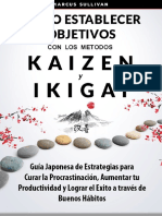 Como - EstablecerObjetivos Nna PDF