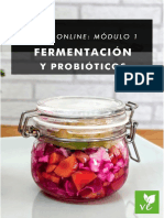 Modulo 1 Fermented