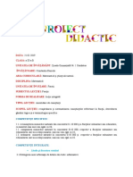 Fractii Proiect Didactic