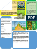 ACTIVIDADES ECONÓMICAS DE LAS REGIONES NATURALES DEL PERÚ - Docx 2kdg