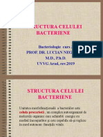 Curs 3 - STRUCTURA CELULEI BACTERIENE