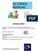 PDF Documento