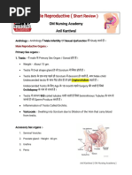 Male Reproductive (: Short Review)