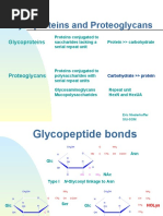 Glycoproteins Proteoglycans