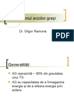 Metabolismul Acizilor Graşi