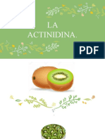 La Actinidina