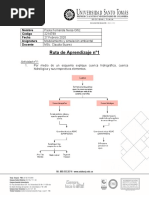 Ruta de Aprendizaje 1