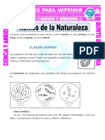 Ficha Reinos de La Naturaleza para Quinto de Primaria