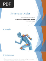 Sistema Articular