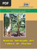 Vela-Manejo Integrado Cultivo Plátano