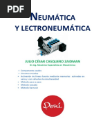 Texto Neumatica JCCZ PDF