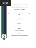 Programa de Intervención en El Adulto Mayor Con Deteriro Cognitivo Leve