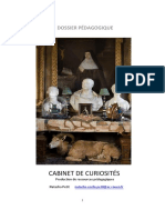 Dossier - Cabinet de Curiosités